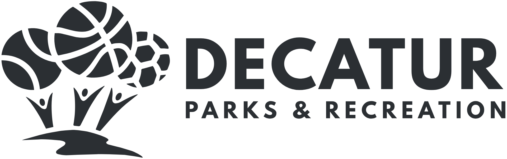 DPR Logo_Graphite